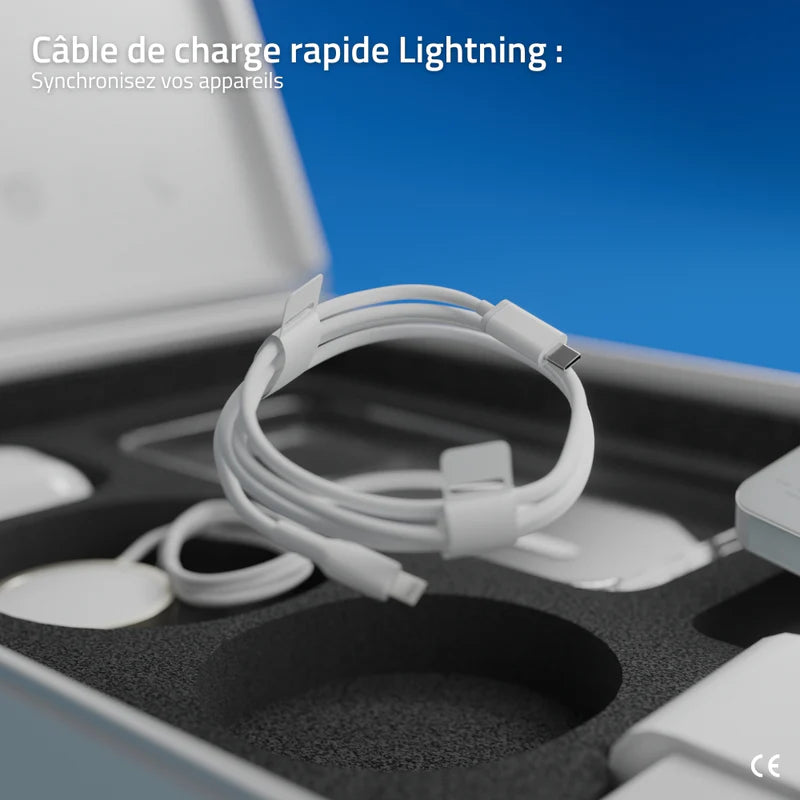 Câble de charge rapide de la Pulsed Box